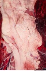 Photo Textures of RAW Pork Meat